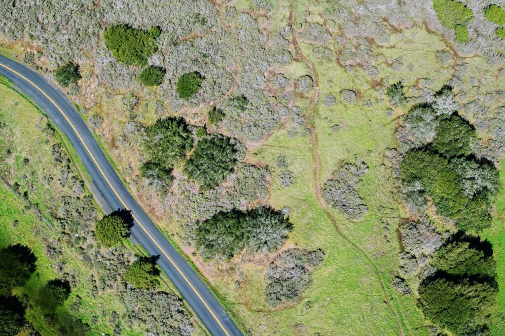zipwp-image-443422 Aerial Photography of Road